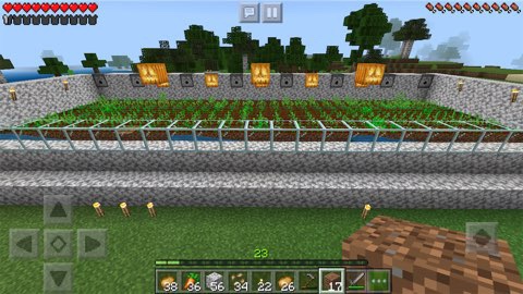 マイクラ 植林場